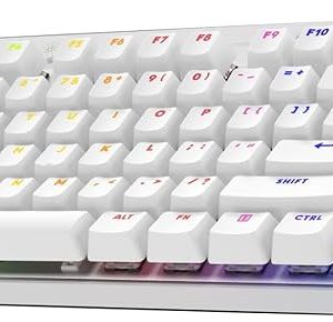 Logitech PRO X TKL Lightspeed Tactile – White